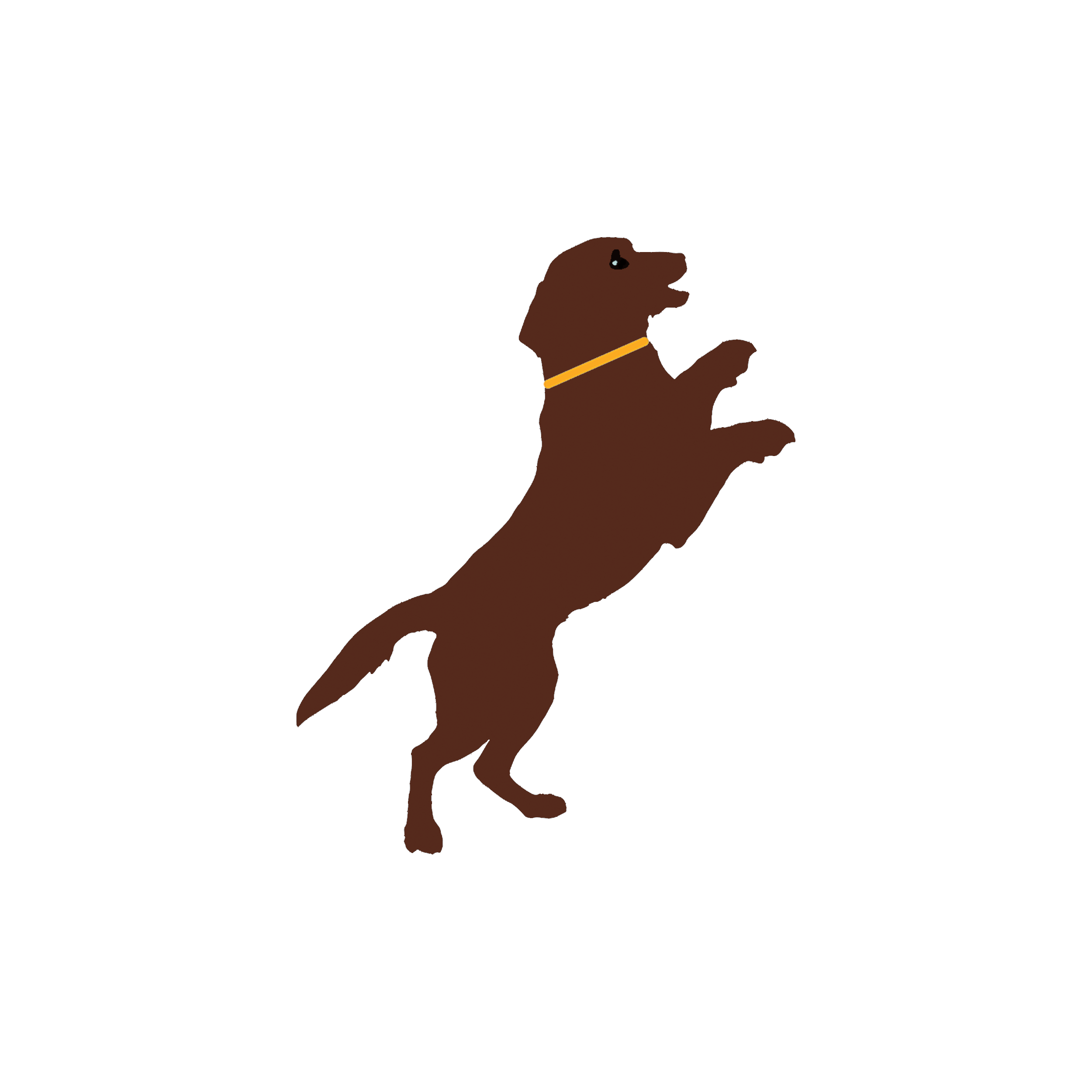 The Dog