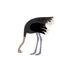The Ostrich