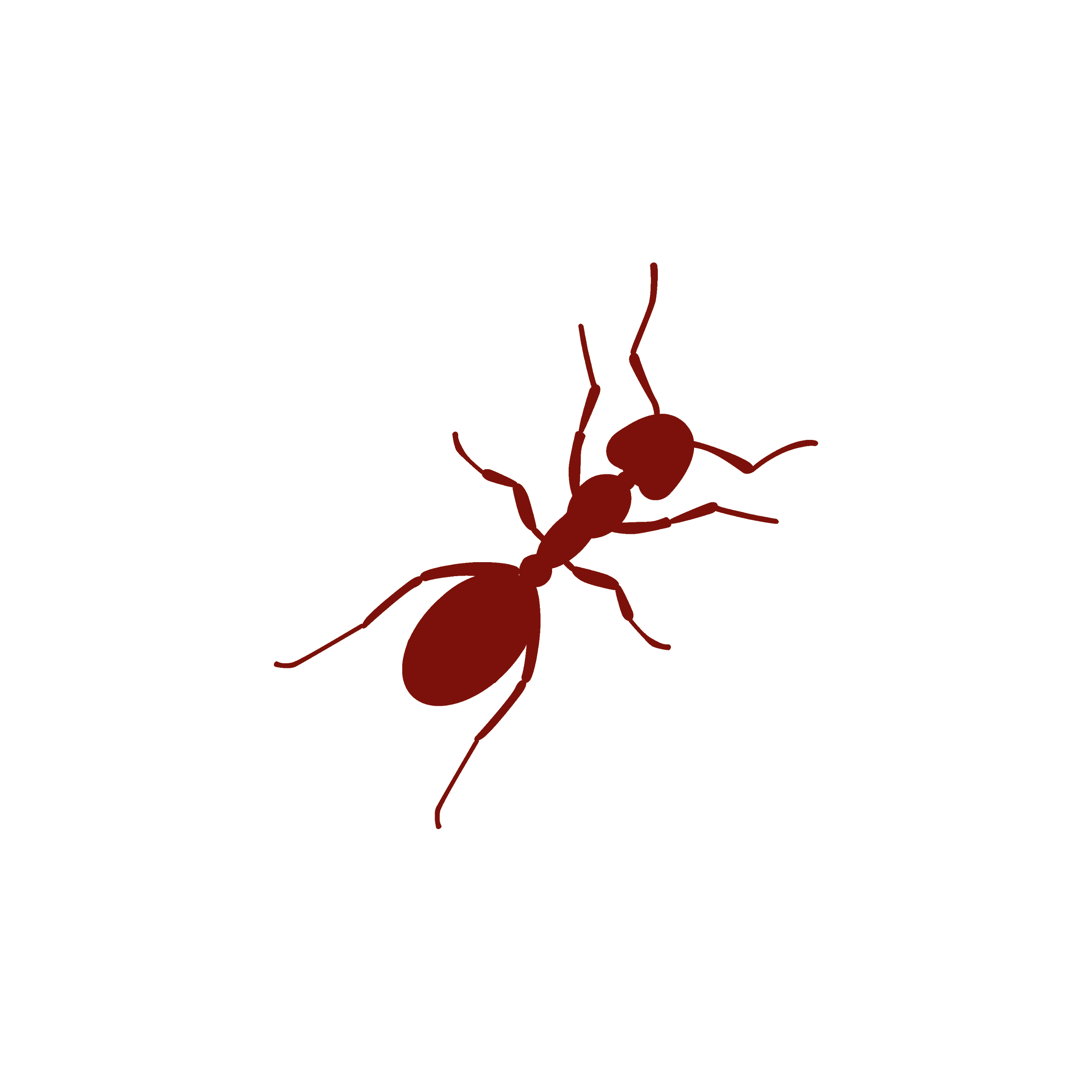 The Ant