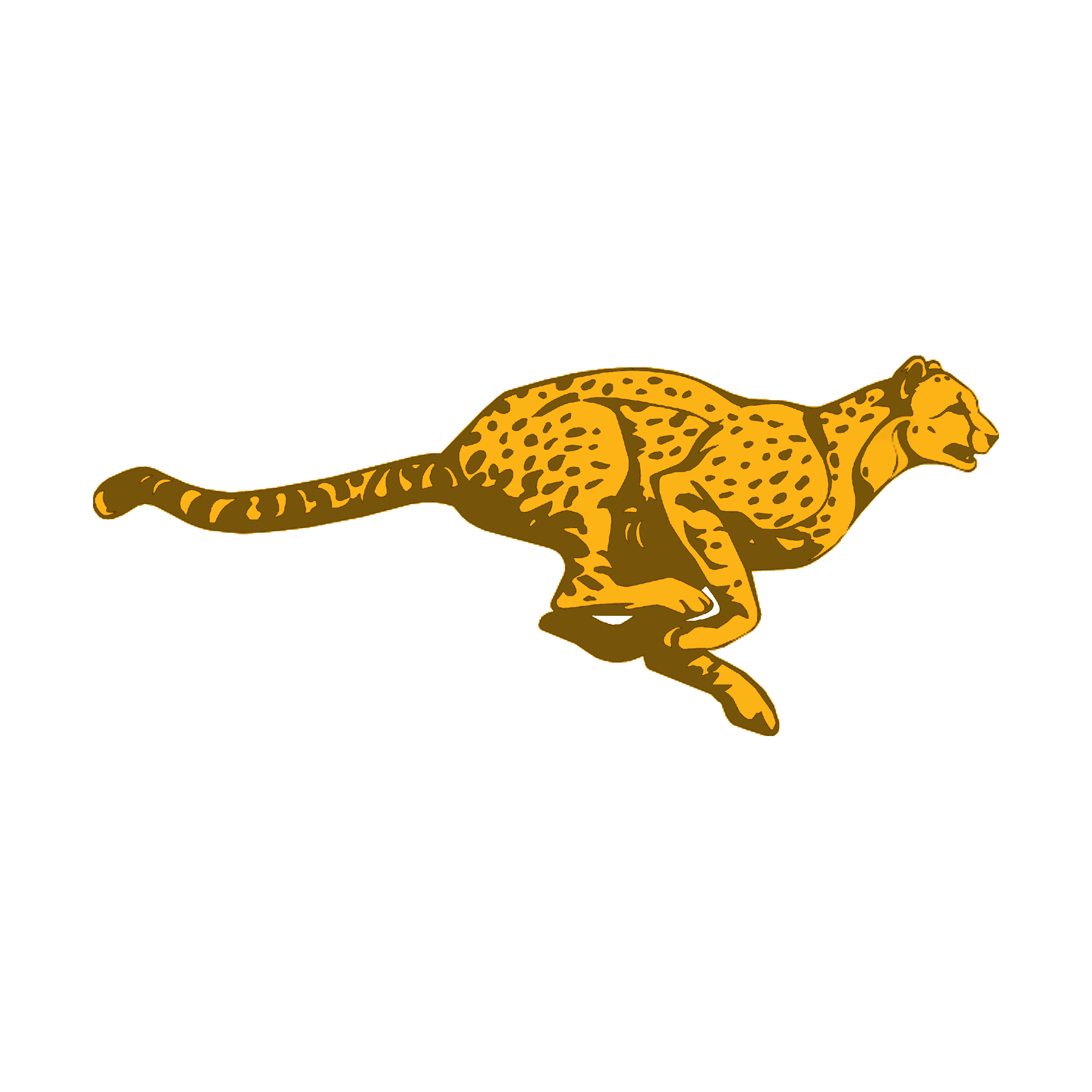 The Cheetah