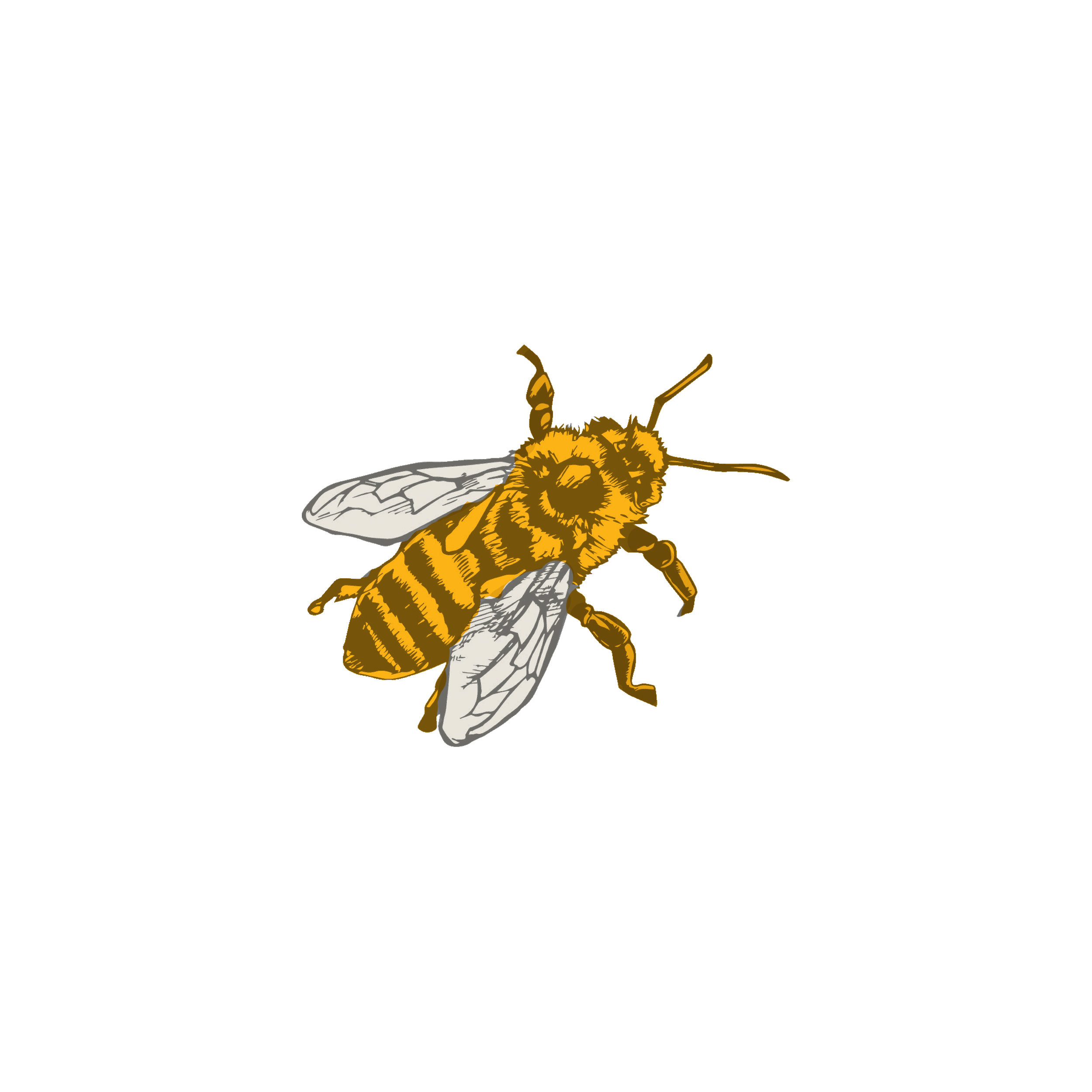 The Honeybee